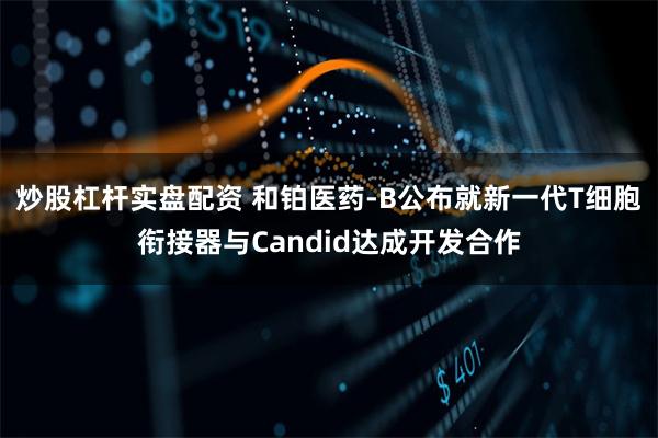 炒股杠杆实盘配资 和铂医药-B公布就新一代T细胞衔接器与Ca