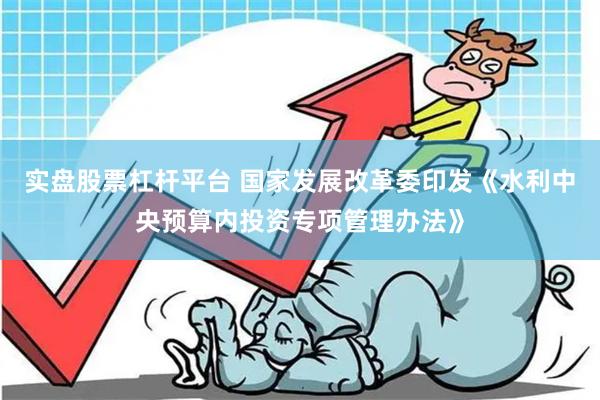 实盘股票杠杆平台 国家发展改革委印发《水利中央预算内投资专项